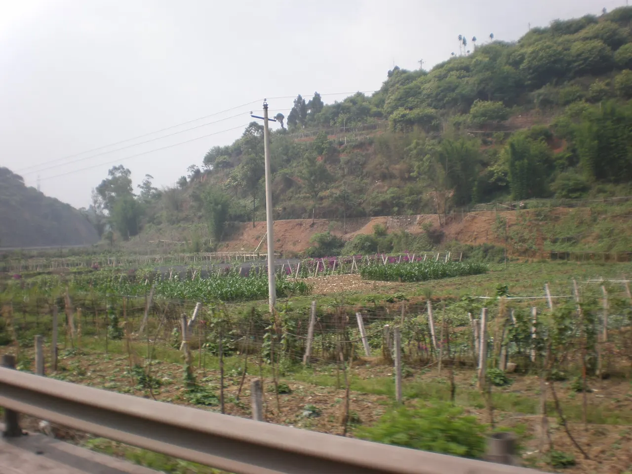 Yunnan, China