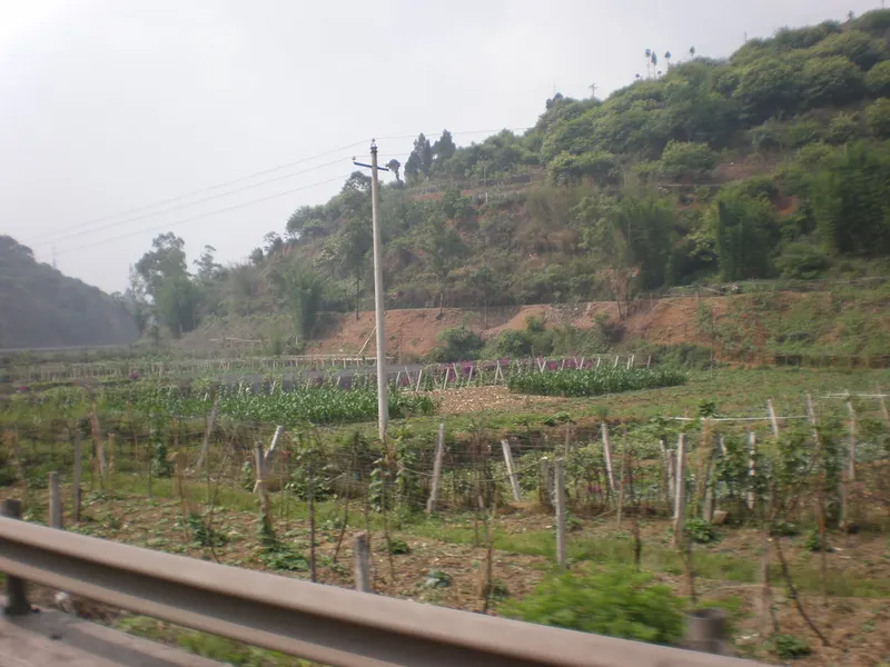 Yunnan — 云南